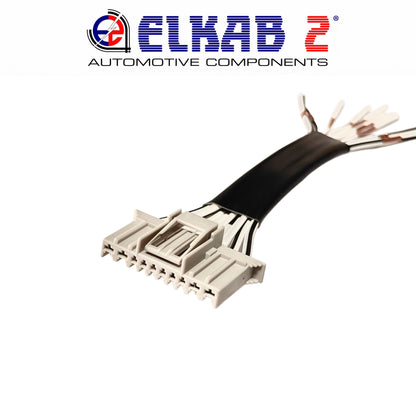 Connettore FCI Sicma Body Computer, Fari Fiat Panda 169 Spina 10 Vie 71745167 Body Computer Panda Seconda Serie. ORIGINALE.