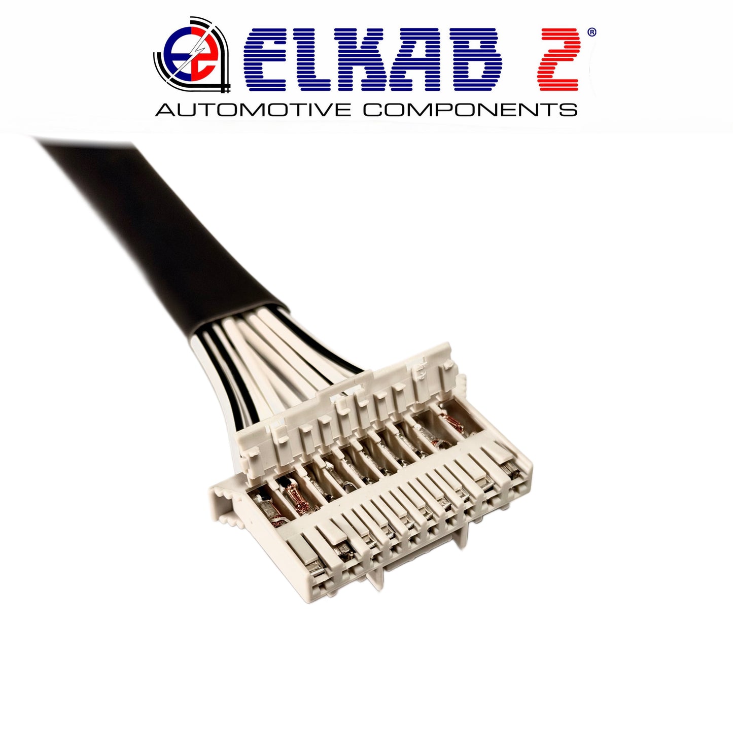 Connettore FCI Sicma Body Computer, Fari Fiat Panda 169 Spina 10 Vie 71745167 Body Computer Panda Seconda Serie. ORIGINALE.